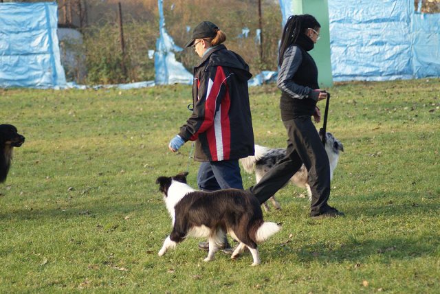 img00028.jpg