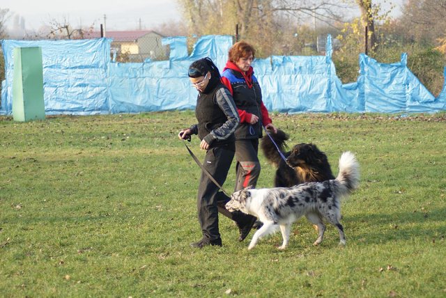 img00029.jpg