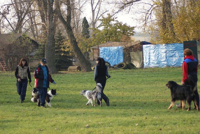 img00030.jpg