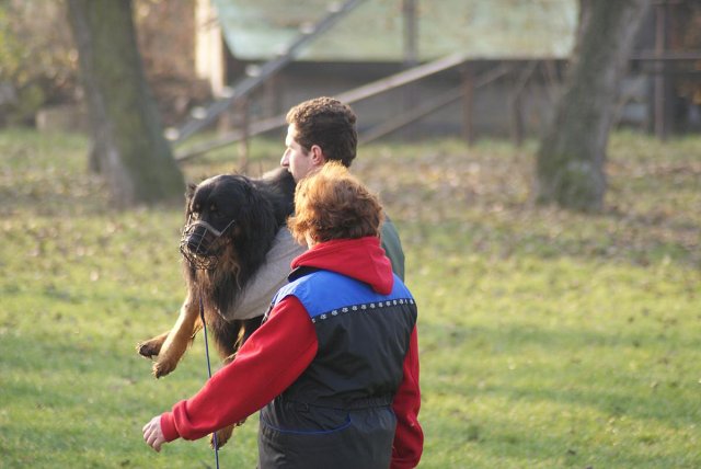 img00050.jpg