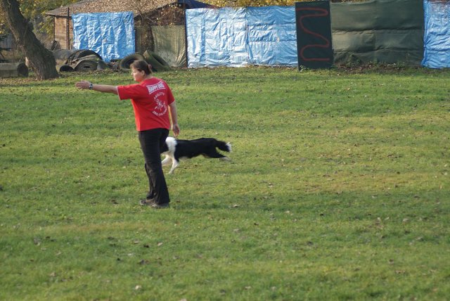img00075.jpg