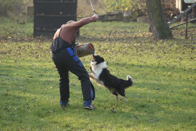 img00076.jpg