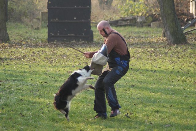 img00078.jpg