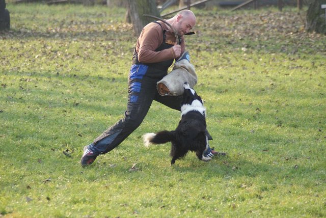 img00080.jpg