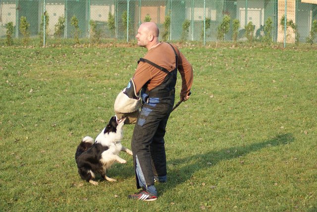 img00081.jpg