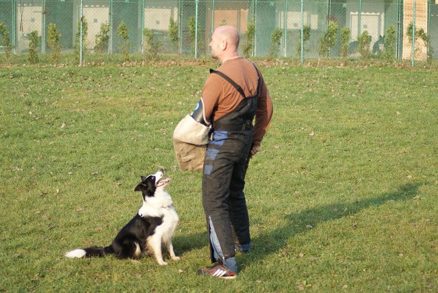 img00082.jpg
