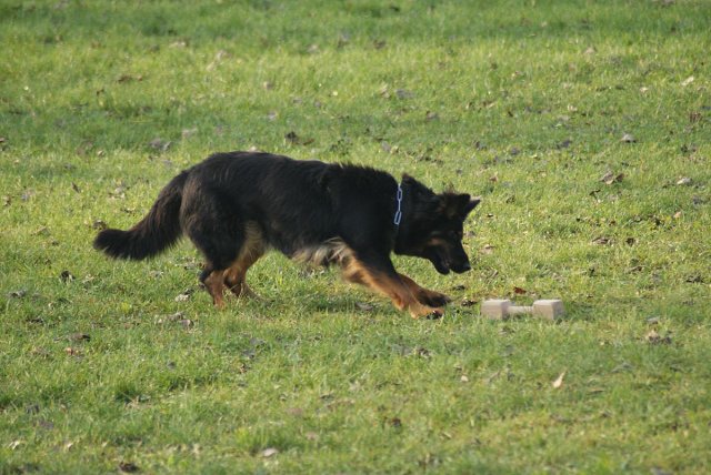 img00089.jpg