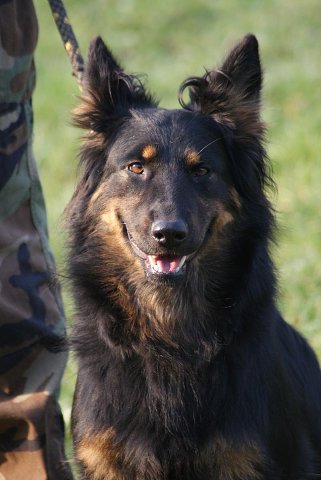 img00096.jpg