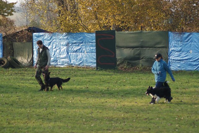img00097.jpg