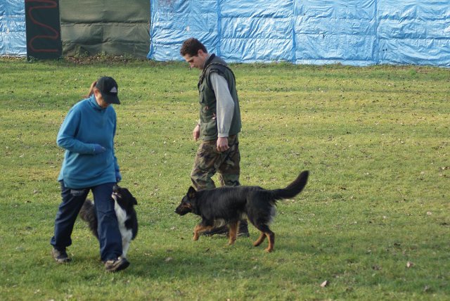 img00099.jpg