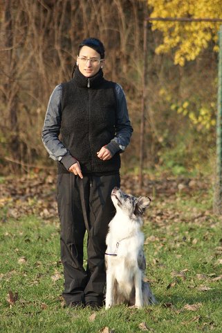 img00100.jpg