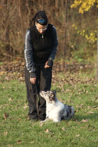 img00101.jpg