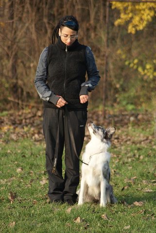 img00104.jpg