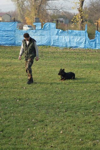 img00107.jpg