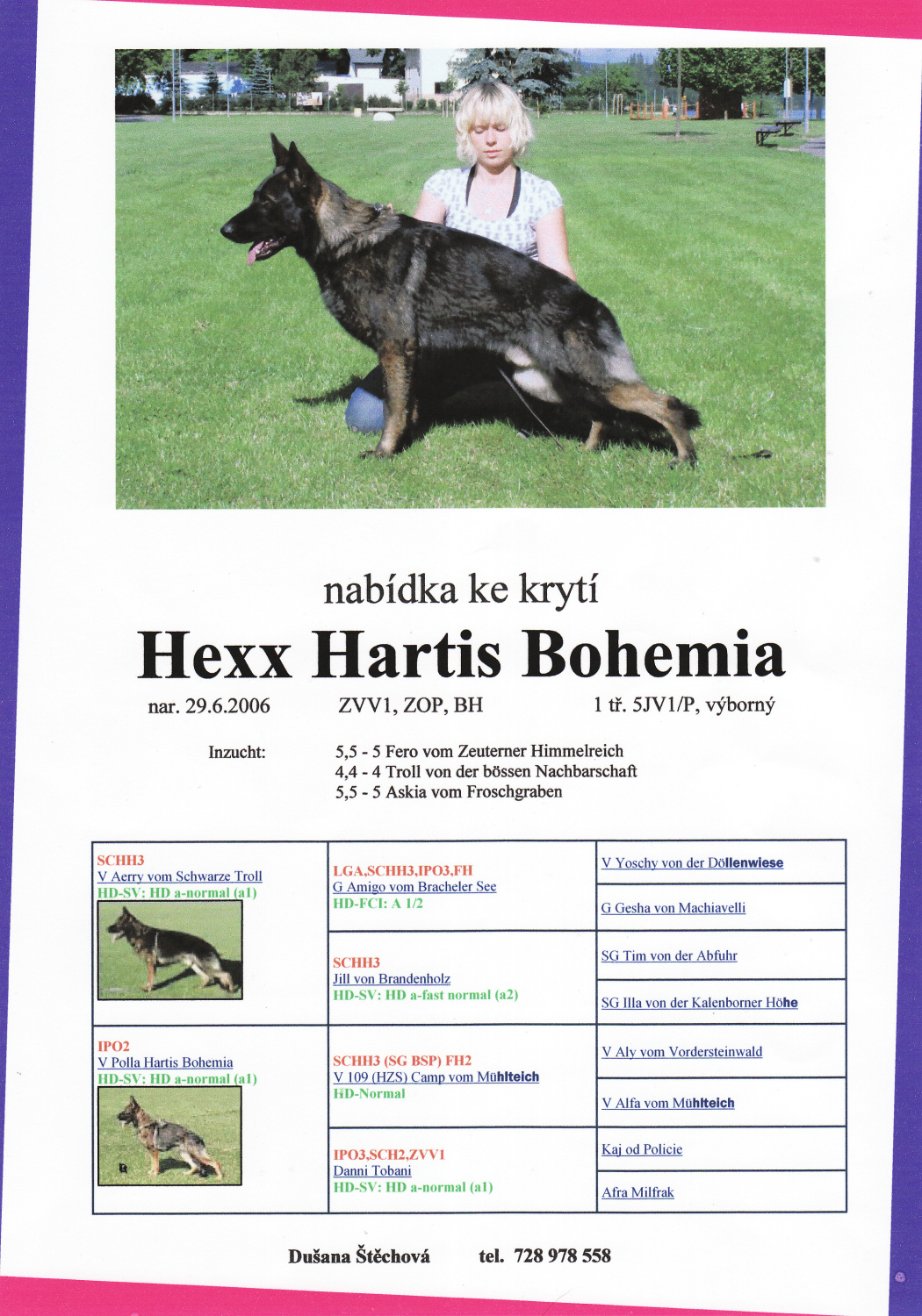 hexx